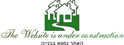 אפשרות לקבל פטנט רשום